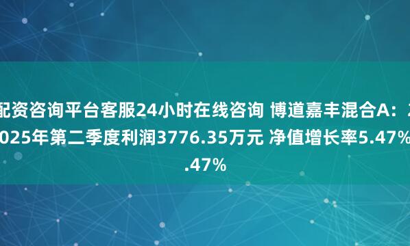 配资咨询平台客服24小时在线咨询 博道嘉丰混合A：2025年第二季度利润3776.35万元 净值增长率5.47%