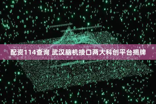 配资114查询 武汉脑机接口两大科创平台揭牌